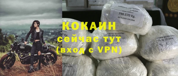 apvp Белокуриха