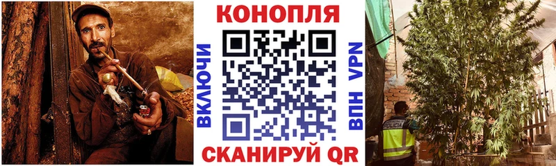 Бошки Шишки конопля  купить наркотик  Калининец 